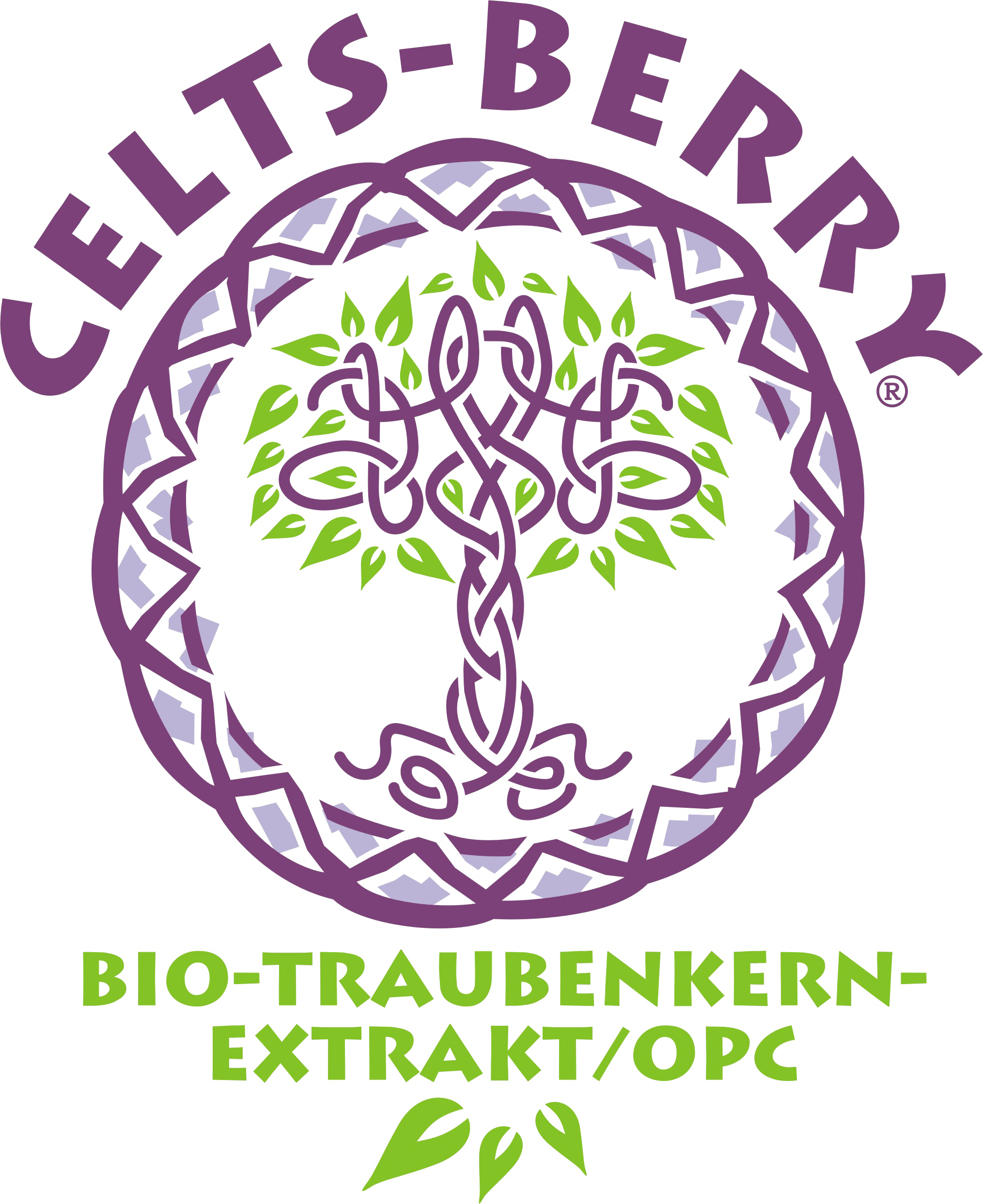 Celts-berry-Logo